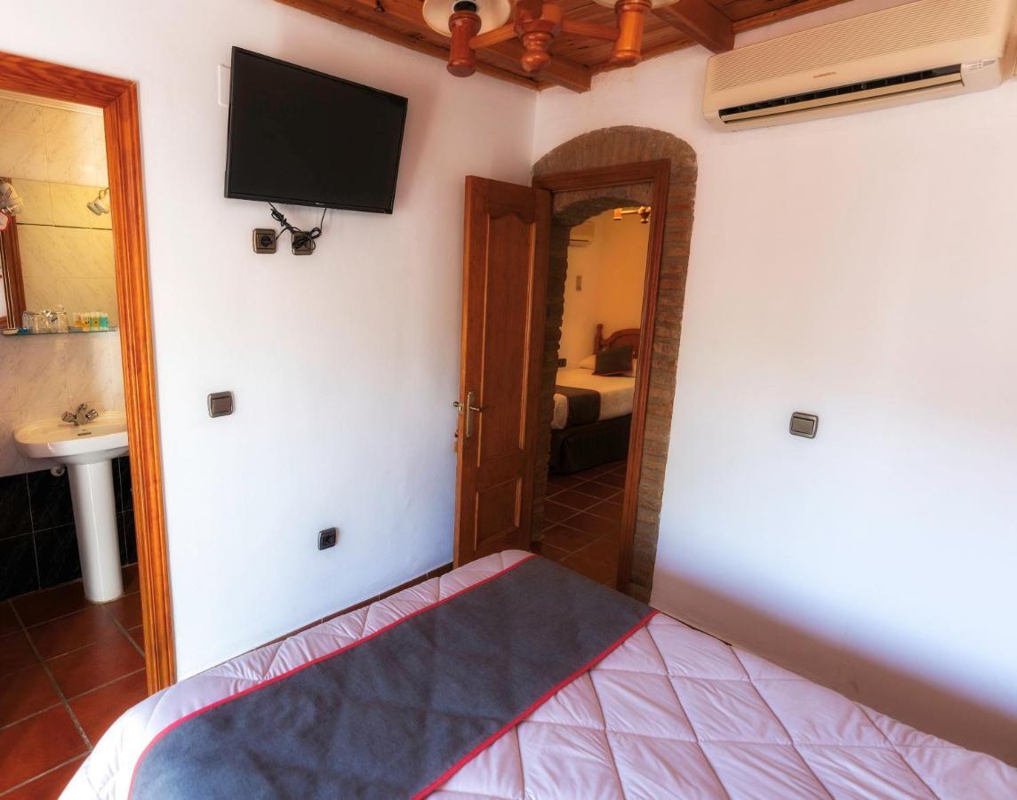 Palmeras By Vivere Zafra