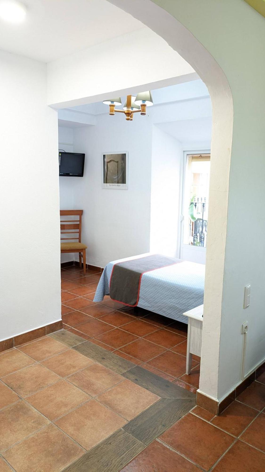 Palmeras By Vivere *