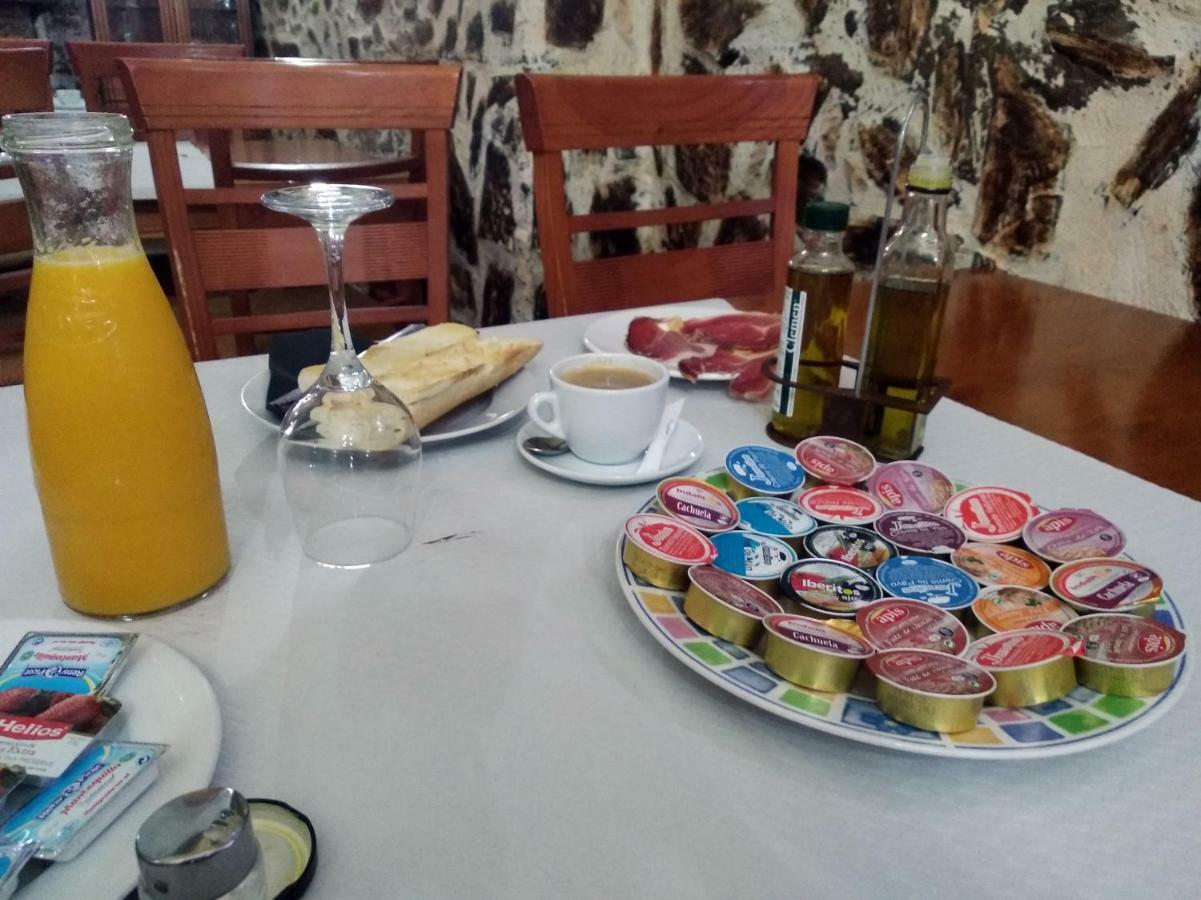 Palmeras By Vivere *