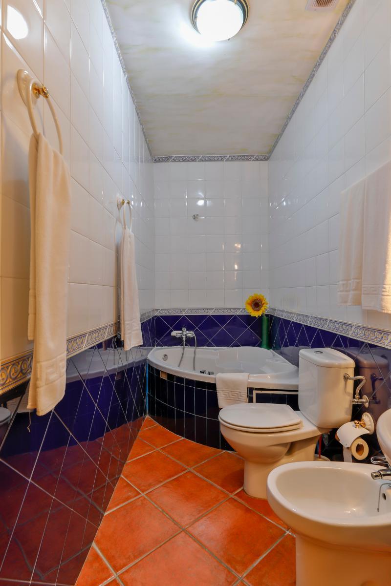 Palmeras By Vivere Zafra